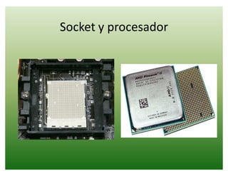 Socket y procesador
 