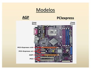 Modelos
AGP PCIexpress
 