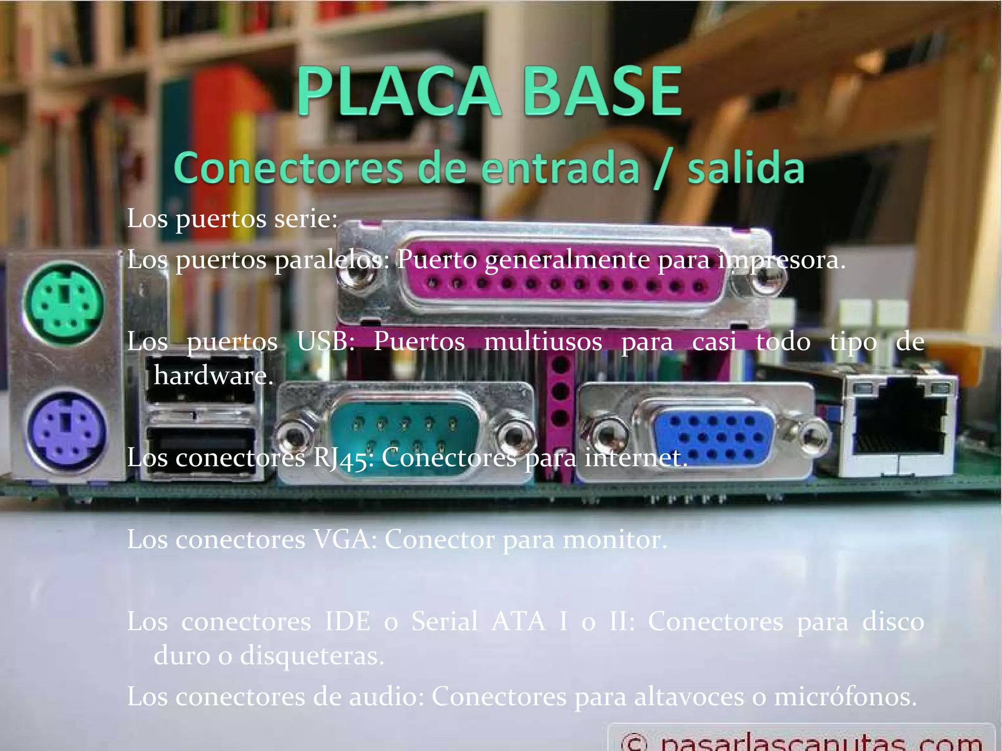 Los puertos serie: Los puertos paralelos: Puerto generalmente para impresora. Los puertos USB: Puertos multiusos para casi todo tipo de hardware.  Los conectores RJ45: Conectores para internet. Los conectores VGA: Conector para monitor. Los conectores IDE o Serial ATA I o II: Conectores para disco duro o disqueteras. Los conectores de audio: Conectores para altavoces o micrófonos. 
