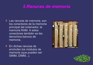 2.Ranuras de memoria
➲ Las ranuras de memoria, son
los conectores de la memoria
principal del ordenador, la
memoria RAM. A estos
conectores también se les
denomina bancos de
memoria.
➲ En dichas ranuras de
enchufan los módulos de
memoria (que pueden ser
SIMM, DIMM...).
 