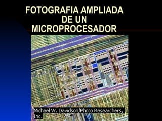 FOTOGRAFIA AMPLIADA
       DE UN
 MICROPROCESADOR
 