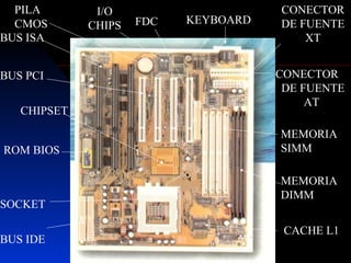 PILA        I/O                     CONECTOR
  CMOS       CHIPS   FDC   KEYBOARD   DE FUENTE
BUS ISA                                   XT


BUS PCI                               CONECTOR
                                       DE FUENTE
                                           AT
   CHIPSET

                                      MEMORIA
ROM BIOS                              SIMM

                                      MEMORIA
                                      DIMM
SOCKET

                                       CACHE L1
BUS IDE
 