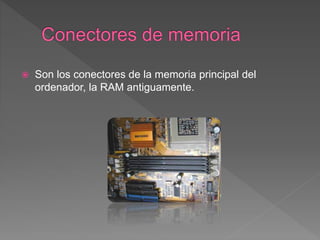  Son los conectores de la memoria principal del
ordenador, la RAM antiguamente.
 