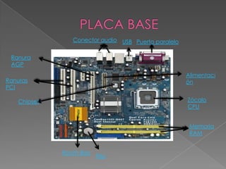Conector audio USB Puerto paralelo
Ranura
AGP
Alimentaci
ón

Ranuras
PCI

Zócalo
CPU

Chipset

Memoria
RAM

Room Bios

Pila

 