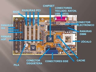 CHIPSET<br />CONECTORES TECLADO, RATON, USB…(ATX)<br />RANURAS PCI<br />BIOS<br />CONECTOR ELECTRÓNICO<br />RANURAS ISA<br...