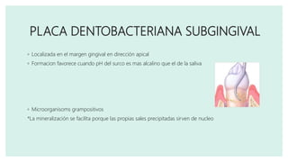 PLACA DENTOBACTERIANA SUBGINGIVAL
◦ Localizada en el margen gingival en dirección apical
◦ Formacion favorece cuando pH del surco es mas alcalino que el de la saliva
◦ Microorganisoms grampositivos
*La mineralización se facilita porque las propias sales precipitadas sirven de nucleo
 