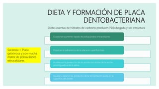 DIETA Y FORMACIÓN DE PLACA
DENTOBACTERIANA
Dietas exentas de hidratos de carbono producen PDB delgada y sin estructura
Sacarosa = Placa
gelatinosa y con mucha
matriz de polisacáridos
extracelulares
Ocasionan aumento rápido de polisacáridos entracelulares
Propician la adherencia de la placa en superficie lisas
Auxilian en la protección de los productos acidos de la acción
amortiguadora de la saliva
Ayudan a retener los productos de la fermentación acida en la
superficie del diente
 