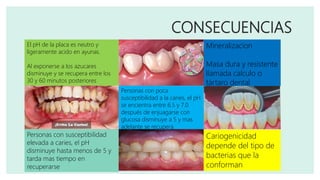 CONSECUENCIAS
El pH de la placa es neutro y
ligeramente acido en ayunas.
Al exponerse a los azucares
disminuye y se recupera entre los
30 y 60 minutos posteriores
Personas con poca
susceptibilidad a la caries, el pH
se encientra entre 6.5 y 7.0
después de enjuagarse con
glucosa disminuye a 5 y mas
adelante se recupera
Personas con susceptibilidad
elevada a caries, el pH
disminuye hasta menos de 5 y
tarda mas tiempo en
recuperarse
Mineralizacion
Masa dura y resistente
llamada calculo o
tártaro dental
Cariogenicidad
depende del tipo de
bacterias que la
conforman
 