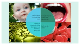 Secreción menor
0.7 ml x min.
(Xerostomía)
3 a 8 g/L de
solidos
Solidos de
suspensión 20%
(componen de
bacterias,
leucocitos
Mezcla salival
contiene 98%
agua
 