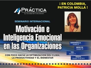 Placa Inteligencia Emocional En Colombia Pat Molla
