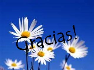 Gracias!