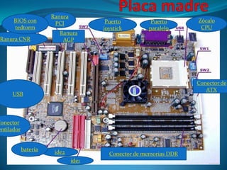Ranura
      BIOS con         PCI             Puerto         Puerto       Zócalo
      tedtorm                         joystick       paralelo       CPU
                         Ranura
 Ranura CNR               AGP




                                                                   Conector de
                                                                      ATX
     USB




Conector
entilador


            batería    ide2             Conector de memorias DDR
                               ide1
 