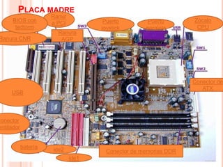 PLACA MADRE
                       Ranur
      BIOS con         a PCI           Puerto         Puerto       Zócalo
       tedtorm                        joystick       paralelo       CPU
                         Ranura
 Ranura CNR               AGP




                                                                   Conector de
                                                                      ATX
      USB




Conector
 entilador


             batería   ide2             Conector de memorias DDR
                               ide1
 