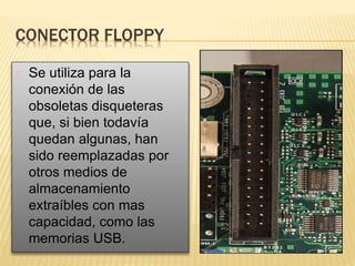 CONECTOR FLOPPY
Se utiliza para la
conexión de las
obsoletas disqueteras
que, si bien todavía
quedan algunas, han
sido reemplazadas por
otros medios de
almacenamiento
extraíbles con mas
capacidad, como las
memorias USB.
 
