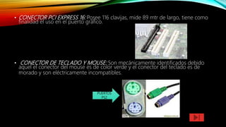 • CONECTOR PCI EXPRESS 16: Posee 116 clavijas, mide 89 mtr de largo, tiene como
finalidad el uso en el puerto gráfico.
• CONECTOR DE TECLADO Y MOUSE: Son mecánicamente identificados debido
aquel el conector del mouse es de color verde y el conector del teclado es de
morado y son eléctricamente incompatibles.
PUERTOS
PS2
 