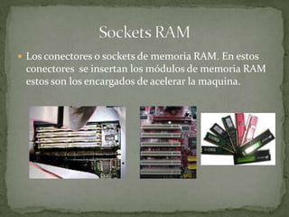 Placa Madre O Placa Base