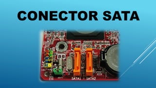 CONECTOR SATA
 