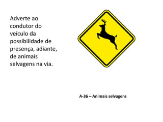 A-36 – Animais selvagens
Adverte ao
condutor do
veículo da
possibilidade de
presença, adiante,
de animais
selvagens na via.
 