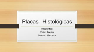 Placas Histológicas
Integrantes:
Víctor Barrios
Marcos Mendoza
 