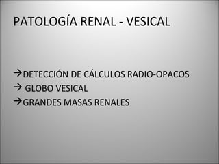 PATOLOGÍA RENAL - VESICAL
DETECCIÓN DE CÁLCULOS RADIO-OPACOS
 GLOBO VESICAL
GRANDES MASAS RENALES
 