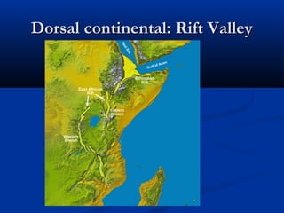Dorsal continental: Rift ValleyDorsal continental: Rift Valley
 