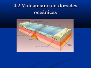 4.2 Vulcanismo en dorsales4.2 Vulcanismo en dorsales
oceánicasoceánicas
 