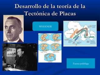 Desarrollo de la teoría de laDesarrollo de la teoría de la
Tectónica de PlacasTectónica de Placas
WEGENER
Fuerza polófuga
 