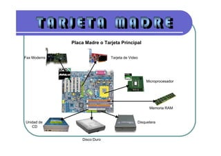 Placa Madre o Tarjeta Principal


Fax Modems                    Tarjeta de Video




                                                 Microprocesador




                                                   Memoria RAM


Unidad de                                    Disquetera
   CD


                 Disco Duro
 