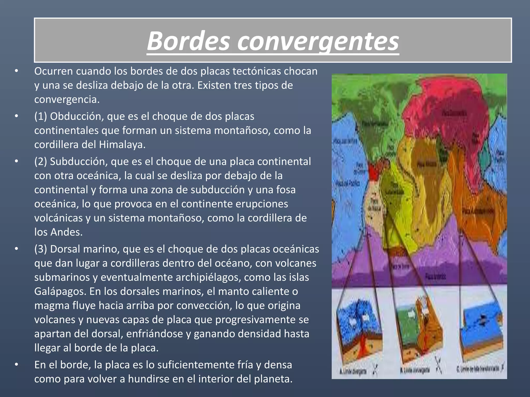 Bordes convergentes
• Ocurren cuando los bordes de dos placas tectónicas chocan
y una se desliza debajo de la otra. Existen tres tipos de
convergencia.
• (1) Obducción, que es el choque de dos placas
continentales que forman un sistema montañoso, como la
cordillera del Himalaya.
• (2) Subducción, que es el choque de una placa continental
con otra oceánica, la cual se desliza por debajo de la
continental y forma una zona de subducción y una fosa
oceánica, lo que provoca en el continente erupciones
volcánicas y un sistema montañoso, como la cordillera de
los Andes.
• (3) Dorsal marino, que es el choque de dos placas oceánicas
que dan lugar a cordilleras dentro del océano, con volcanes
submarinos y eventualmente archipiélagos, como las islas
Galápagos. En los dorsales marinos, el manto caliente o
magma fluye hacia arriba por convección, lo que origina
volcanes y nuevas capas de placa que progresivamente se
apartan del dorsal, enfriándose y ganando densidad hasta
llegar al borde de la placa.
• En el borde, la placa es lo suficientemente fría y densa
como para volver a hundirse en el interior del planeta.
 