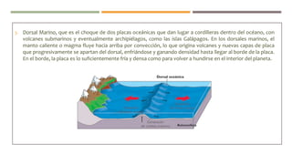 3. Dorsal Marino, que es el choque de dos placas oceánicas que dan lugar a cordilleras dentro del océano, con
volcanes submarinos y eventualmente archipiélagos, como las islas Galápagos. En los dorsales marinos, el
manto caliente o magma fluye hacia arriba por convección, lo que origina volcanes y nuevas capas de placa
que progresivamente se apartan del dorsal, enfriándose y ganando densidad hasta llegar al borde de la placa.
En el borde, la placa es lo suficientemente fría y densa como para volver a hundirse en el interior del planeta.
 