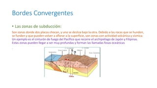 Bordes Convergentes
• Las zonas de subducción:
Son zonas donde dos placas chocan, y una se desliza bajo la otra. Debido a las rocas que se hunden,
se funden y que pueden volver a aflorar a la superficie, son zonas con actividad volcánica y sísmica.
Un ejemplo es el cinturón de fuego del Pacífico que recorre el archipiélago de Japón y Filipinas.
Estas zonas pueden llegar a ser muy profundas y forman las llamadas fosas oceánicas
.
 