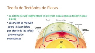 Teoría de Tectónica de Placas
• La Litósfera está fragmentada en diversas piezas rígidas denominadas
placas
• Las Placas se mueven
sobre la astenósfera
por efecto de las celdas
de convección
subyacentes
 