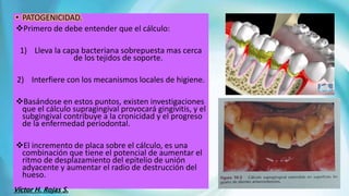 • PATOGENICIDAD.
Primero de debe entender que el cálculo:
1) Lleva la capa bacteriana sobrepuesta mas cerca
de los tejidos de soporte.
2) Interfiere con los mecanismos locales de higiene.
Basándose en estos puntos, existen investigaciones
que el cálculo supragingival provocará gingivitis, y el
subgingival contribuye a la cronicidad y el progreso
de la enfermedad periodontal.
El incremento de placa sobre el cálculo, es una
combinación que tiene el potencial de aumentar el
ritmo de desplazamiento del epitelio de unión
adyacente y aumentar el radio de destrucción del
hueso.
Víctor H. Rojas S.
 