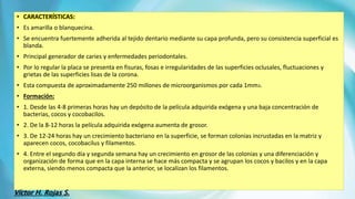 • CARACTERÍSTICAS:
• Es amarilla o blanquecina.
• Se encuentra fuertemente adherida al tejido dentario mediante su capa profunda, pero su consistencia superficial es
blanda.
• Principal generador de caries y enfermedades periodontales.
• Por lo regular la placa se presenta en fisuras, fosas e irregularidades de las superficies oclusales, fluctuaciones y
grietas de las superficies lisas de la corona.
• Esta compuesta de aproximadamente 250 millones de microorganismos por cada 1mm3.
• Formación:
• 1. Desde las 4-8 primeras horas hay un depósito de la película adquirida exógena y una baja concentración de
bacterias, cocos y cocobacilos.
• 2. De la 8-12 horas la película adquirida exógena aumenta de grosor.
• 3. De 12-24 horas hay un crecimiento bacteriano en la superficie, se forman colonias incrustadas en la matriz y
aparecen cocos, cocobacilus y filamentos.
• 4. Entre el segundo día y segunda semana hay un crecimiento en grosor de las colonias y una diferenciación y
organización de forma que en la capa interna se hace más compacta y se agrupan los cocos y bacilos y en la capa
externa, siendo menos compacta que la anterior, se localizan los filamentos.
Víctor H. Rojas S.
 