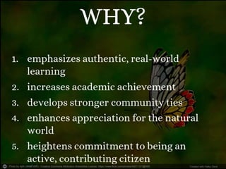 Photo by Ajith (അജിത്ത്) - Creative Commons Attribution-ShareAlike License https://www.flickr.com/photos/49211121@N00 Created with Haiku Deck
 