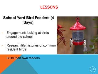 School Yard Bird Feeders (4
days)
- Engagement: looking at birds
around the school
- Research life histories of common
resident birds
- Build their own feeders
12
LESSONS
 