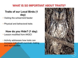 Traits of our Local Birds (1
day)
• Visiting the school bird feeder
• Physical and behavioral traits
How do you Hide? (1 day)
• Lesson modified from AKSCI
• Activity addresses how traits can
increase individual’s survival, mating
and reproduction
15
WHAT IS SO IMPORTANT ABOUT TRAITS?
 