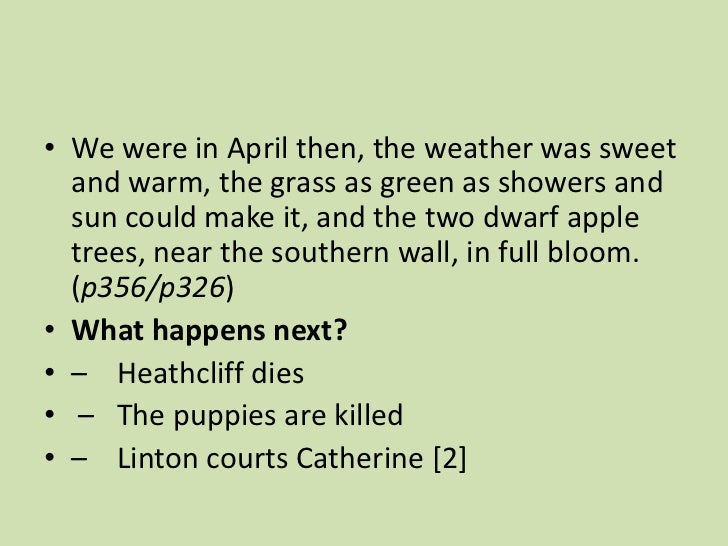 wuthering heights essay