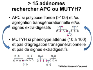 > 15 adénomes
 rechercher APC ou MUTYH?
• APC si polypose floride (>100) et /ou
  agrégation transgénérationnelle et/ou
  signes extra-digestifs

• MUTYH si phénotype atténué (10 à 100)
  et pas d’agrégation transgénérationnelle
  et pas de signes extradigestifs


                          TNCD 2011 (accord d’experts)
 