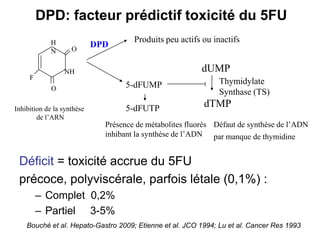 DPD: facteur prédictif toxicité du 5FU
             H                        Produits peu actifs ou inactifs
                    O
                            DPD
             N

                 NH                                       dUMP
     F
                                   5-dFUMP                     Thymidylate
             O
                                                               Synthase (TS)
Inhibition de la synthèse          5-dFUTP                dTMP
        de l’ARN
                              Présence de métabolites fluorés Défaut de synthèse de l’ADN
                              inhibant la synthèse de l’ADN par manque de thymidine


 Déficit = toxicité accrue du 5FU
 précoce, polyviscérale, parfois létale (0,1%) :
         – Complet 0,2%
         – Partiel 3-5%
    Bouché et al. Hepato-Gastro 2009; Etienne et al. JCO 1994; Lu et al. Cancer Res 1993
 