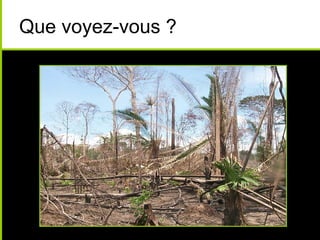 Que voyez-vous ?
 