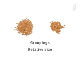 Groupings
Relative size
 