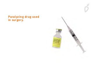 Paralyzing drug used
in surgery.
 