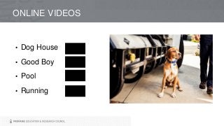 ONLINE VIDEOS
• Dog House
• Good Boy
• Pool
• Running
 