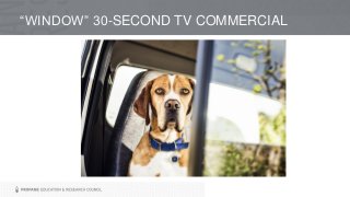 “WINDOW” 30-SECOND TV COMMERCIAL
 