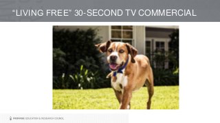 “LIVING FREE” 30-SECOND TV COMMERCIAL
 