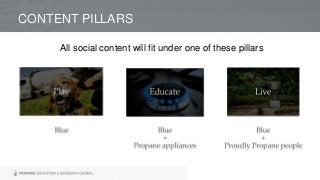 CONTENT PILLARS
All social content will fit under one of these pillars
 