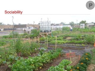 Place Making – Something From Nothing OHM www.ohm-advisors.com
Sociability
 