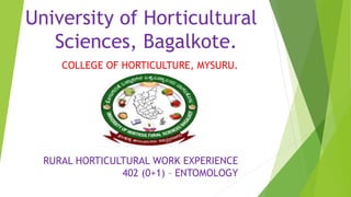 COLLEGE OF HORTICULTURE, MYSURU.
RURAL HORTICULTURAL WORK EXPERIENCE
402 (0+1) – ENTOMOLOGY
University of Horticultural
Sciences, Bagalkote.
 