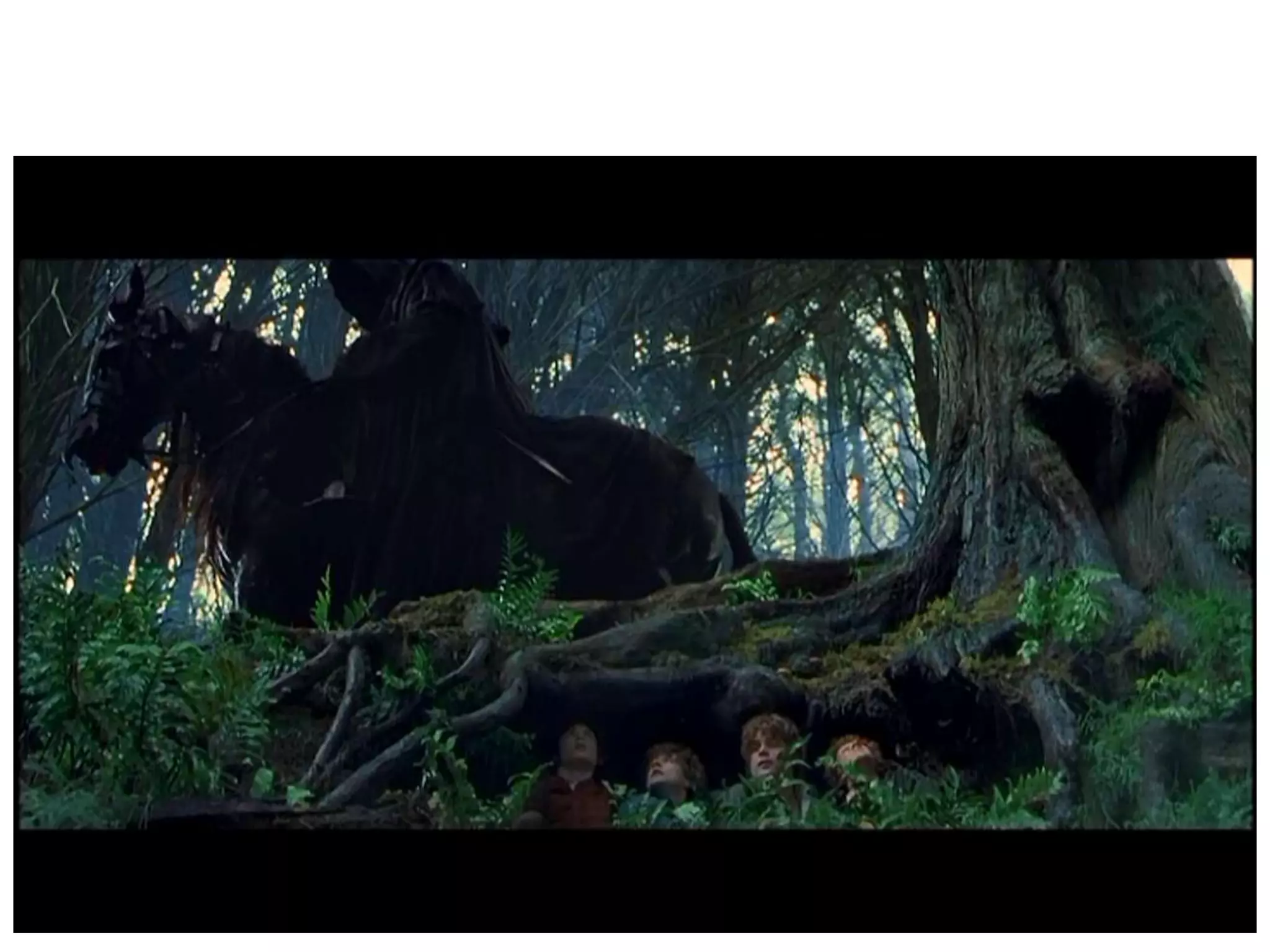 Placement of objects